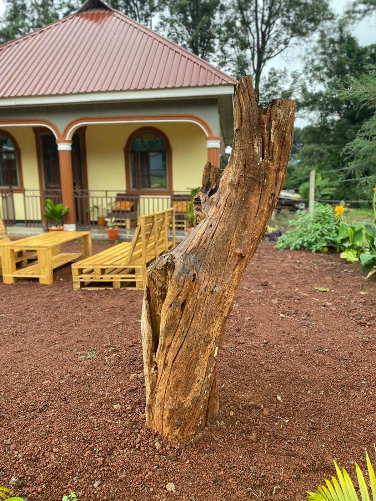 Home Feeling Kilimanjaro Moshi Exterior foto